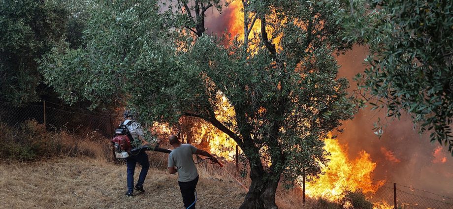 lesbos-is-burning.-i’m-not-there