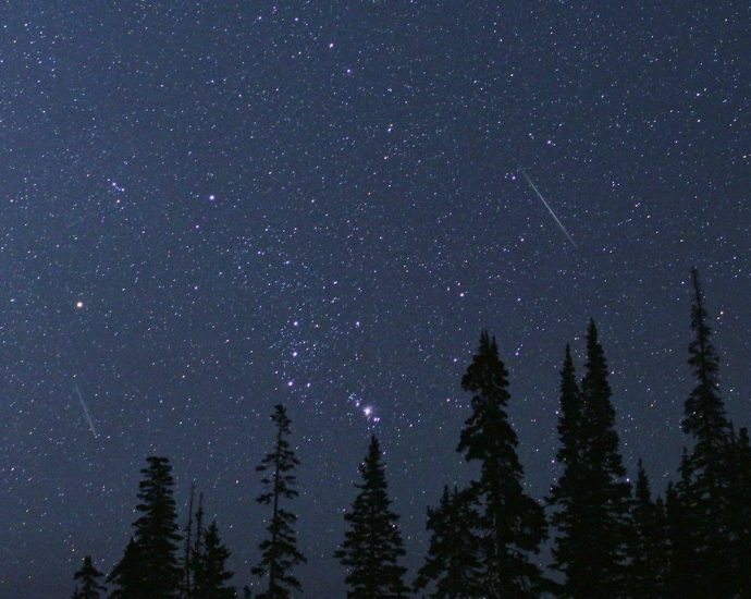 summer-star-shower:-watch-the-perseids-with-nasa!