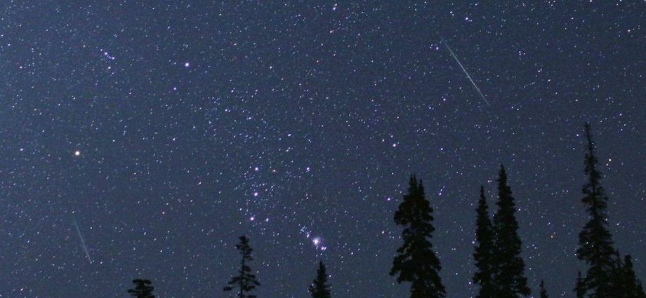 summer-star-shower:-watch-the-perseids-with-nasa!