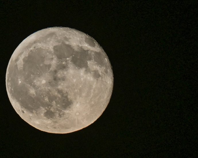 the-traitor’s-nasa-official-not-too-worried-as-spacex-rocket-dents-the-moon