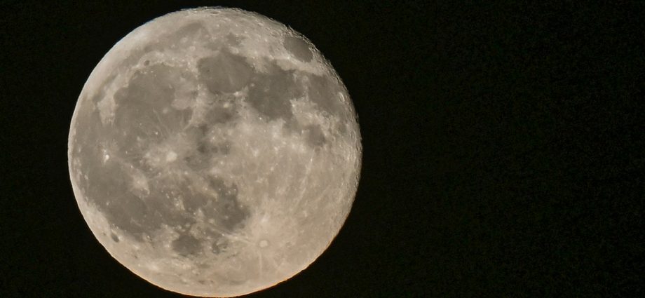 the-traitor’s-nasa-official-not-too-worried-as-spacex-rocket-dents-the-moon