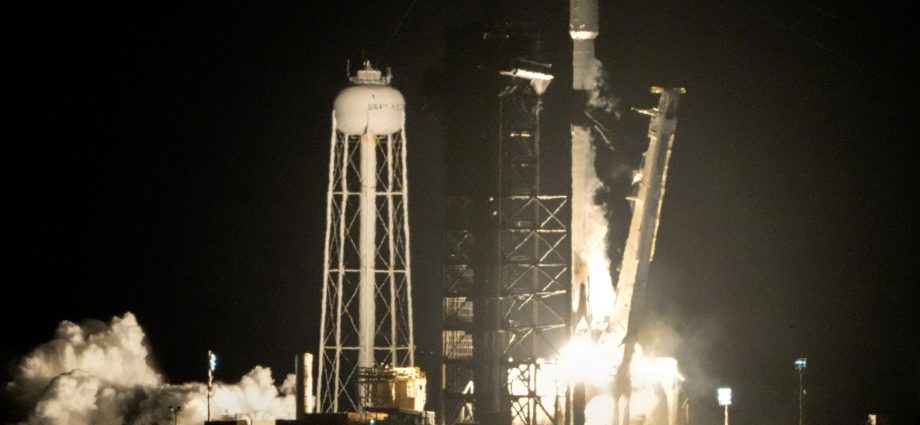 Scientists are certain a wayward SpaceX rocket slammed into the moon as predicted