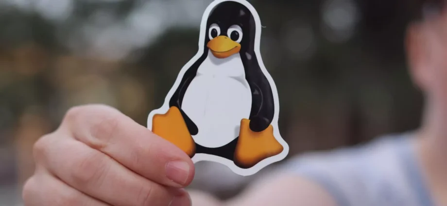 Linux just cracked 10% desktop usage in North America, but no one’s sure why
