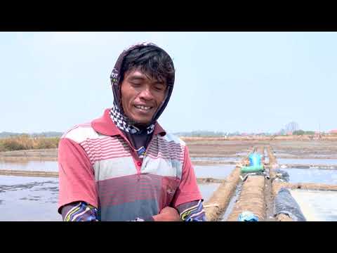 ‘el-nino-is-a-blessing’:-indonesian-salt-farmers-celebrate-dry-season