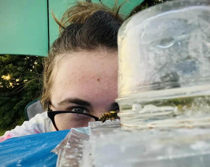 world’s-most-used-weedkiller-disrupts-honeybee-brains