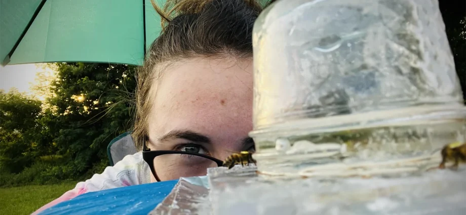 world’s-most-used-weedkiller-disrupts-honeybee-brains