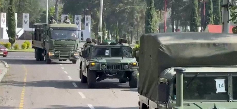 mexico-deploys-troops-to-secure-avocado-region-after-us-halts-imports