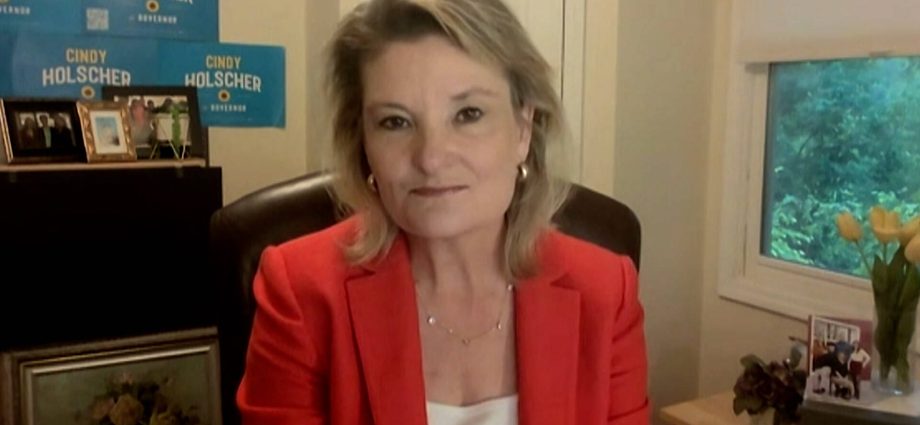 “focus-is-on-affordability”:-cindy-holscher,-kansas-dem-nominee-for-gov,-on-data-center-fight-&-more
