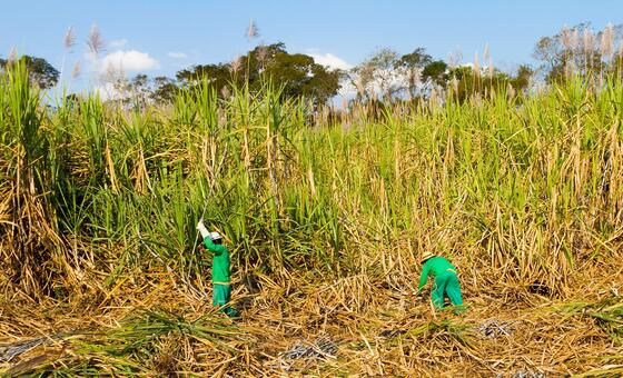 food-prices-edged-up-in-july-amid-heatwaves-and-energy-price-hikes
