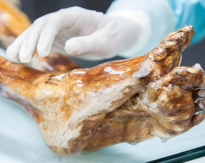 scientists-find-unexpected-life-on-otzi-the-iceman’s-5,300-year-old-body
