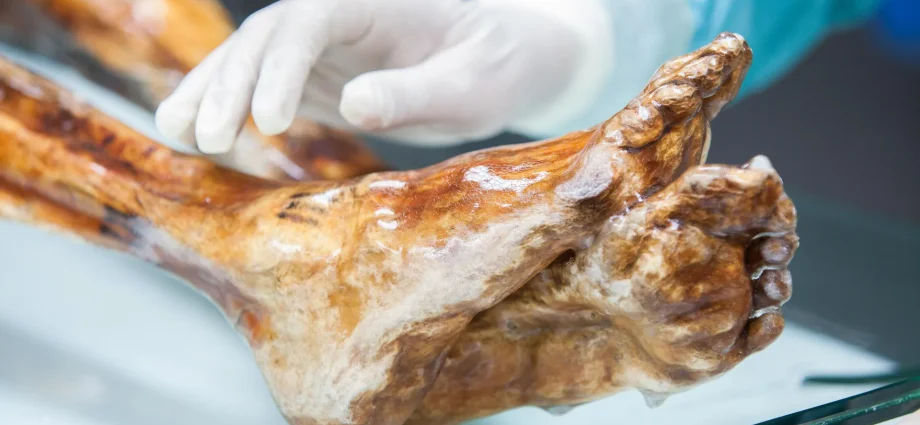 scientists-find-unexpected-life-on-otzi-the-iceman’s-5,300-year-old-body
