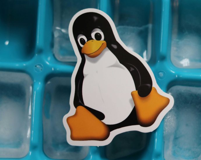 Hold up. Is the year of Linux actually happening?