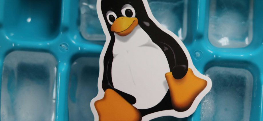 Hold up. Is the year of Linux actually happening?