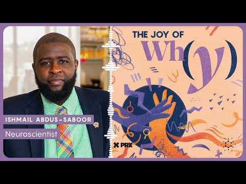 how-does-touch-lead-to-pain-or-pleasure?-|-podcast:-the-joy-of-why