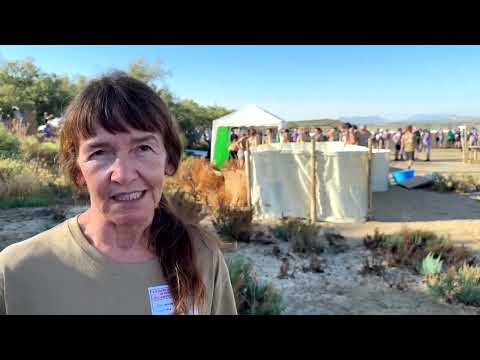conservationists-tag-600-flamingo-chicks-in-spanish-lagoon