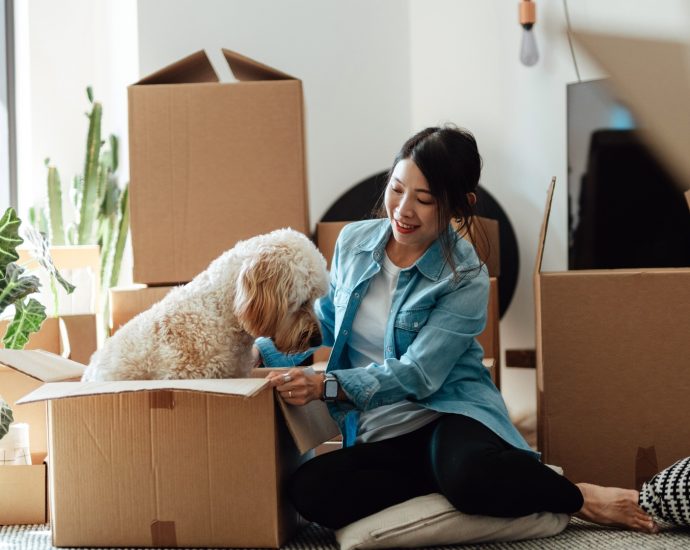 renters-are-moving-less-than-before.-homeownership-doubts-are-one-factor