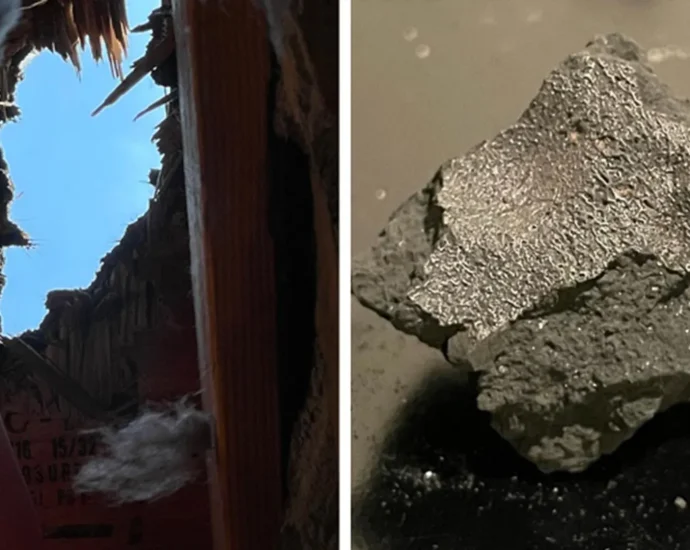 Meteorite that smashed through a New Jersey roof reveals clues to life’s origins