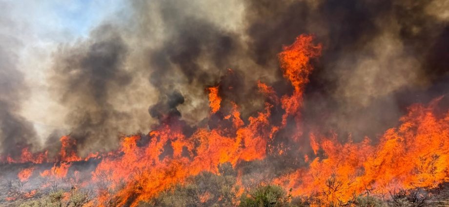 helicopter-crash-kills-pilot-and-crew-member-amid-utah-wildfire-battle