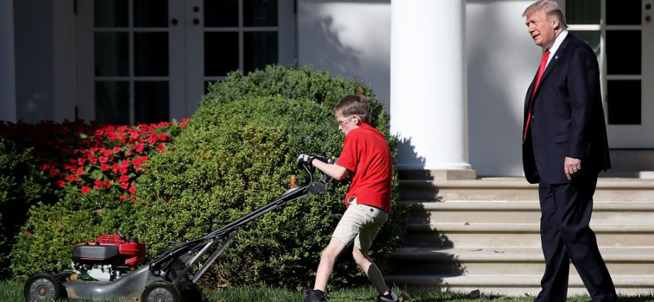 “i’m-very-good-at-grass”:-the-traitor-assures-the-us.-amid-his-renovation-projects