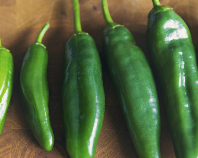do-not-eat-these-products:-usda-alert-expands-jalapeno-salmonella-warning