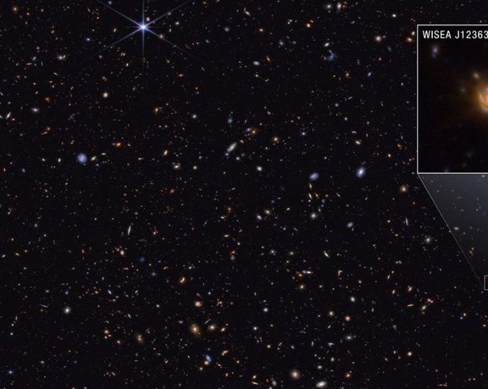 New James Webb telescope image may reveal the true identity of ‘little red dots’ — Space photo of the week