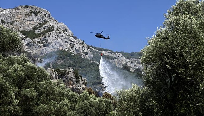 western-europe-sets-new-temperature-record-as-heat-waves-continue-to-pummel-region