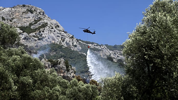 western-europe-sets-new-temperature-record-as-heat-waves-continue-to-pummel-region