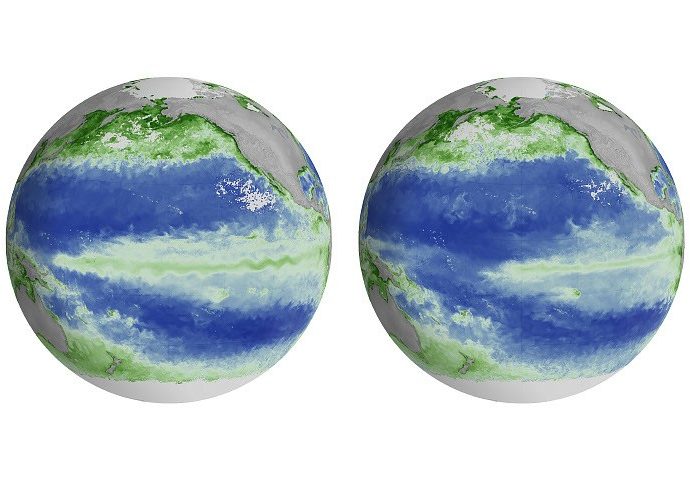 el-nino alters-marine-life-in-the-pacific