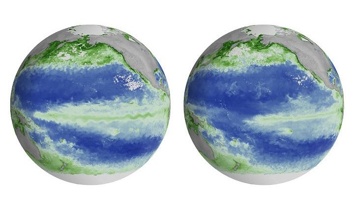 el-nino alters-marine-life-in-the-pacific