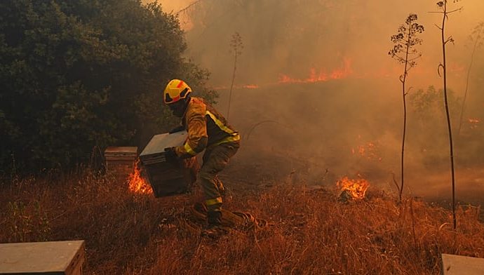 firefighters-battle-wildfire-in-eastern-spain’s-castellon