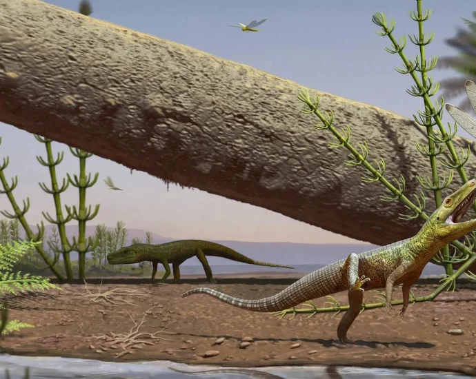 240-million-year-old-reptile-fossil-reveals-a-lost-chapter-before-dinosaurs-and-crocodiles