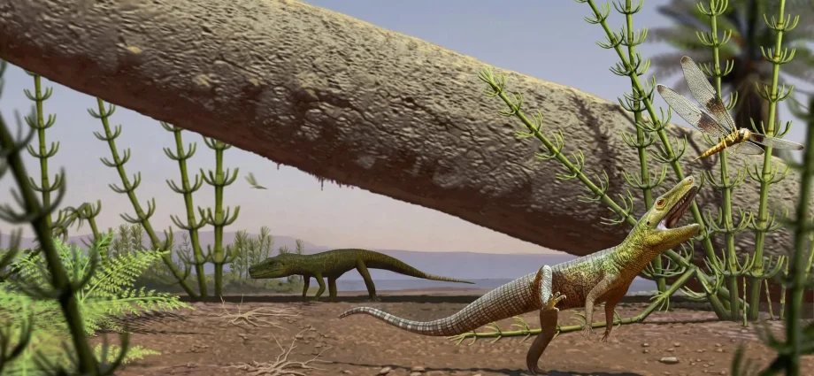 240-million-year-old-reptile-fossil-reveals-a-lost-chapter-before-dinosaurs-and-crocodiles