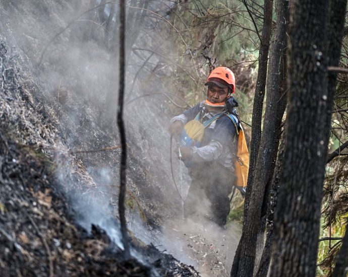wildfires-burn-across-indonesia-as-officials-cite-el-nino-as-a-cause
