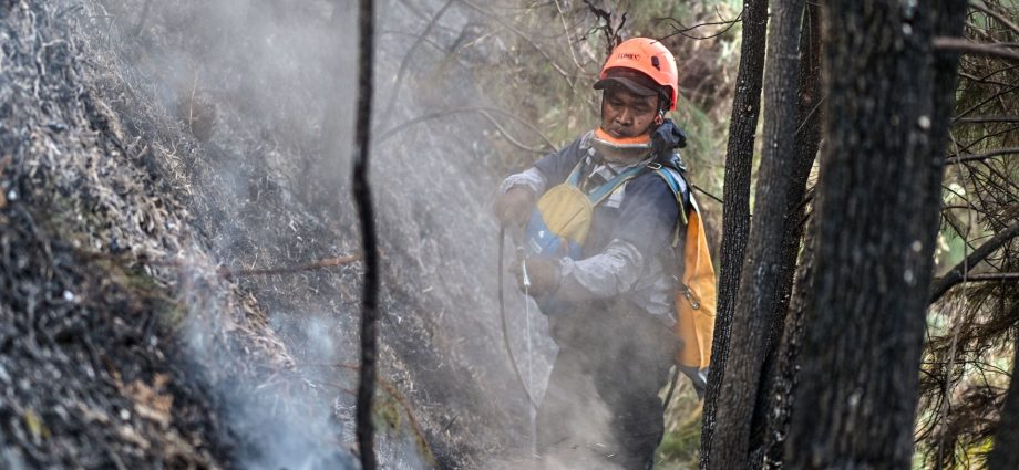 wildfires-burn-across-indonesia-as-officials-cite-el-nino-as-a-cause