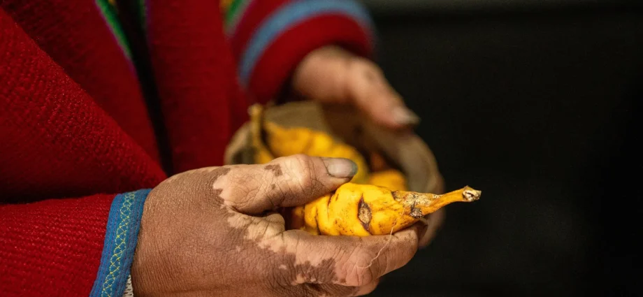 potatoes-may-have-given-indigenous-andeans-a-digestive-superpower