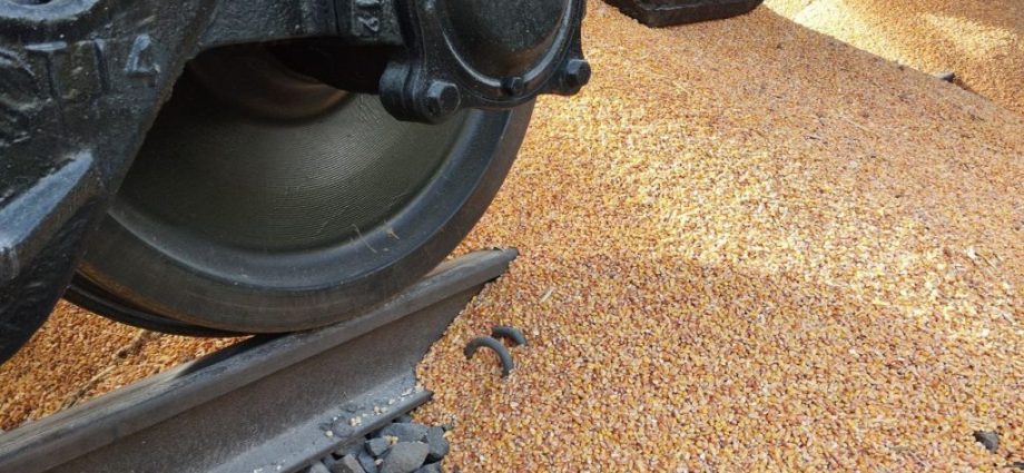 us-forecasters-see-ukraine’s-corn-exports-falling-39%-as-russia-bombs-ports