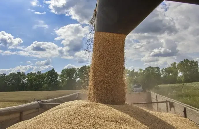 russia’s-odesa-strikes-halve-ukraine’s-grain-export-forecast