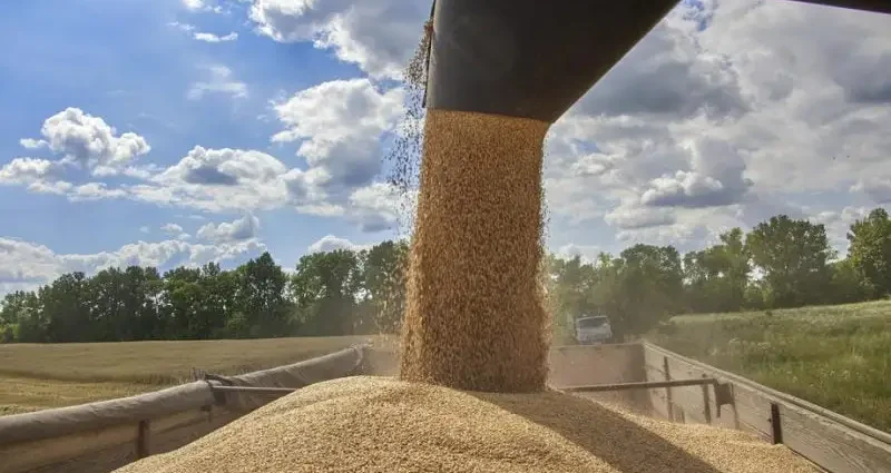 russia’s-odesa-strikes-halve-ukraine’s-grain-export-forecast