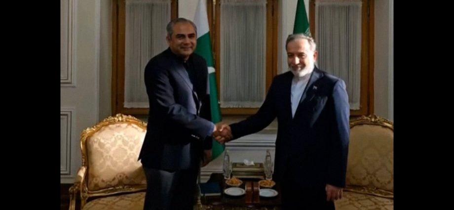 pakistan-interior-minister-in-tehran-amid-talks-to-reopen-hormuz