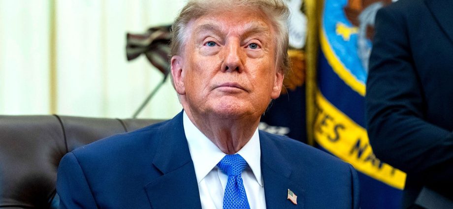 the-traitor-addresses-elaborate-plane-swap-ruse-to-keep-him-safe