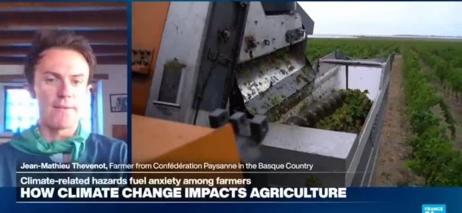 French farmers ‘heavily impacted’ by climate crisis, both psychologically and economically.