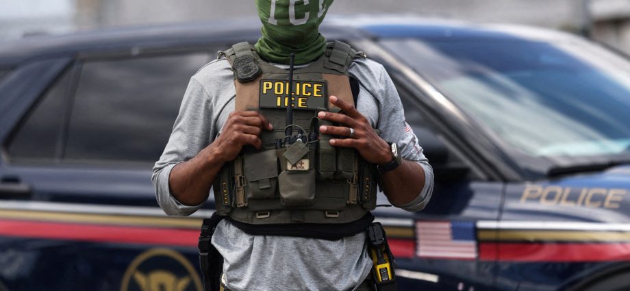 the-traitor-administration-plans-to-give-ice-officers-electric-shock-gloves