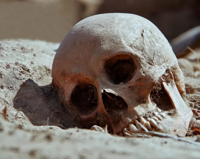 3,500-year-old-skeletons-challenge-what-scientists-thought-they-knew-about-syphilis
