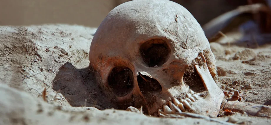 3,500-year-old-skeletons-challenge-what-scientists-thought-they-knew-about-syphilis
