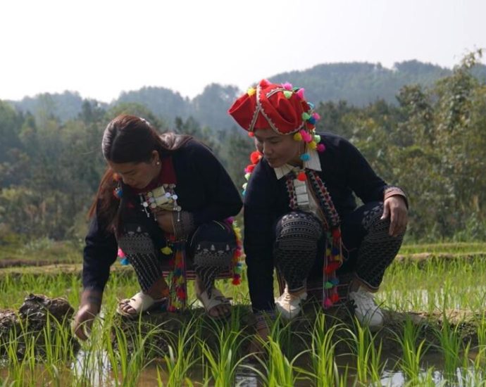 Vietnam’s indigenous Hmong people forced to adapt to climate crisis