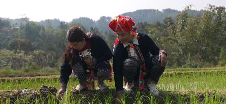 Vietnam’s indigenous Hmong people forced to adapt to climate crisis