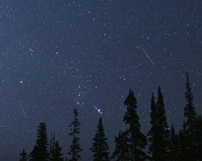 perseids-meteor-shower