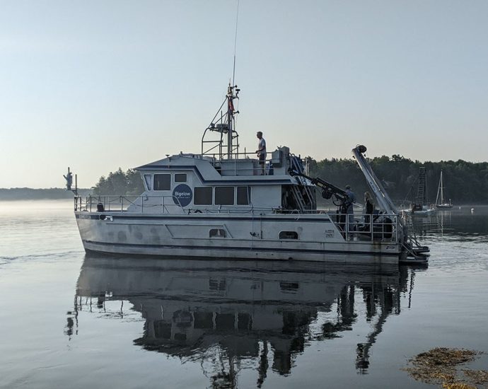 crossing-maine’s-waters-in-pursuit-of-gnats