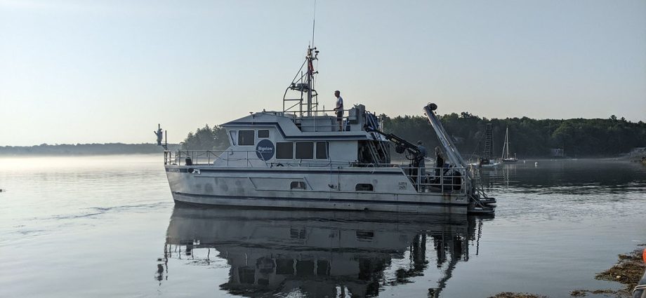 crossing-maine’s-waters-in-pursuit-of-gnats 