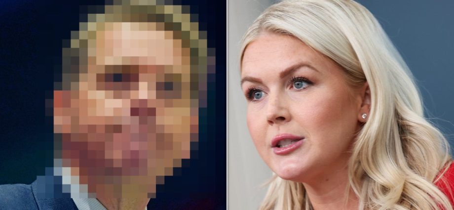 famous-cnn-pundit-is-reportedly-the-front-runner-to-replace-karoline-leavitt